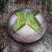 Grupo: -Kinect-