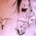DIBUJO Y PINTURA