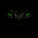 Shadowgamer