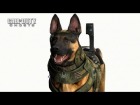 V�deo: Official Call of Duty: Ghosts Tech Comparison Video