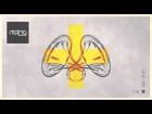V�deo: TJR - Ode To Oi