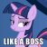 Raccoon s Pony Fever