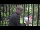 V�deo: The Drums - Money