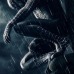 Grupo: Spider-Man Black