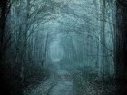 V�deo: Apocalyptica - Farewell
