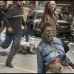 Todo zombis