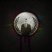 Universo Anonymous