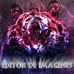 Editor de Imagenes