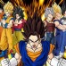 Grupo: Dragon ball seguidores
