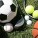 Mega Deporte