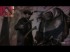 Assassin's Creed 3 ( Jugando ) ( Parte 26 ) En Espa�ol por Vardoc