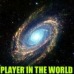 PLAYER IN THE WORLD