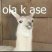 Nashs - Guia Saints row personilazacion