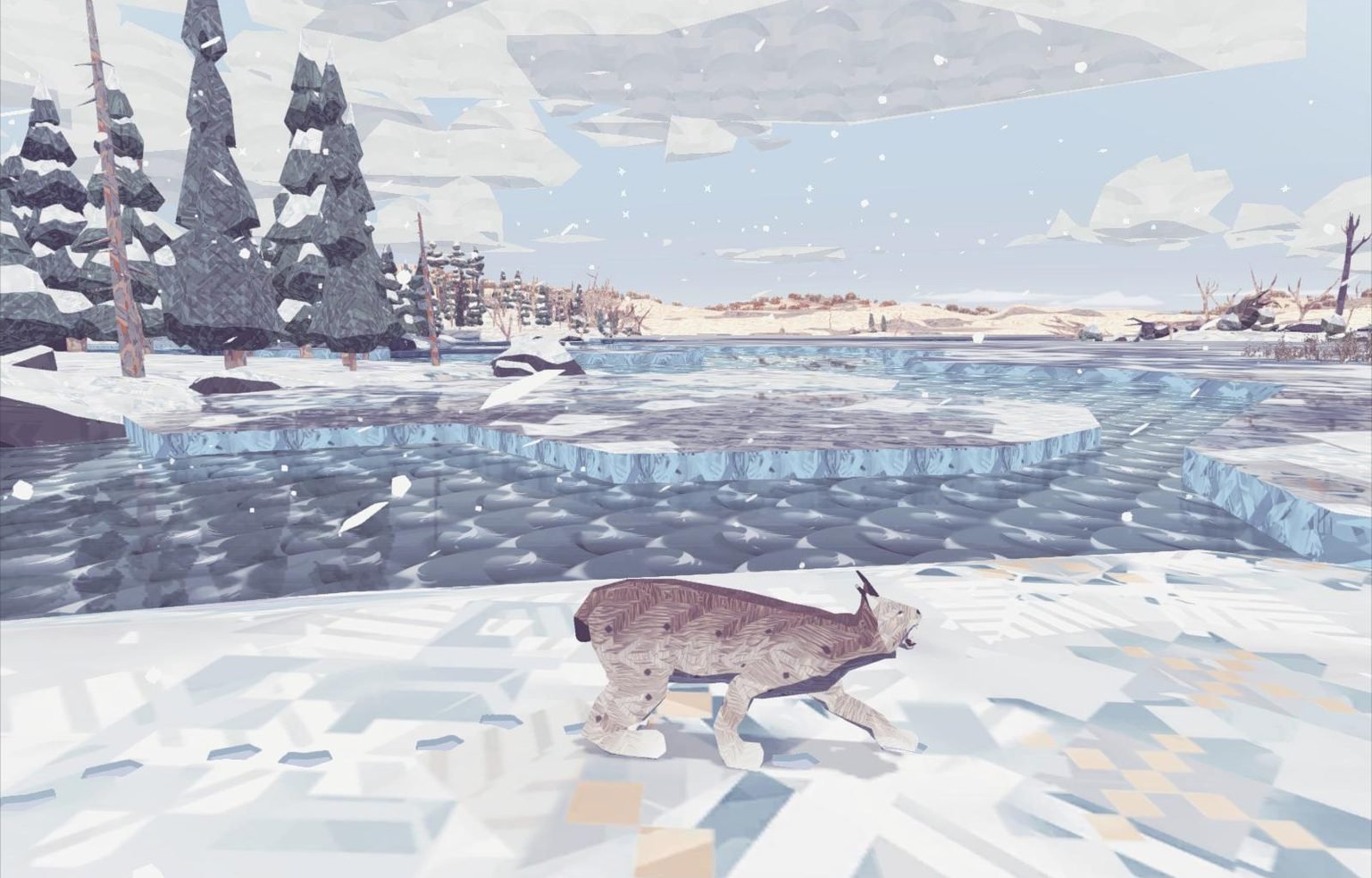 lince lince