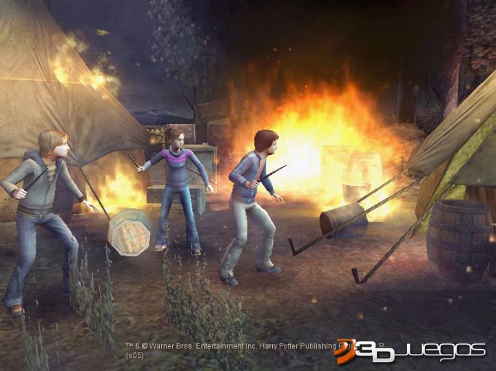 HARRY POTTER Y EL CALIZ DE FUEGO PS2 harry potter y el caliz de fuego ps2: