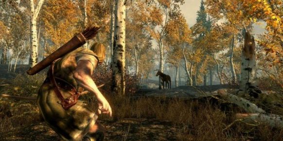The Elder Scrolls V: Skyrim