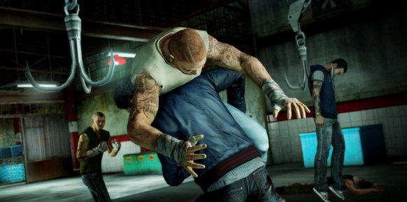Sleeping Dogs